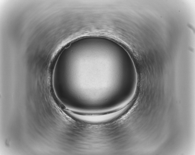 X0000093761506200710301134