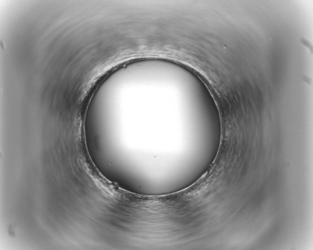 X0000093761507200710301134