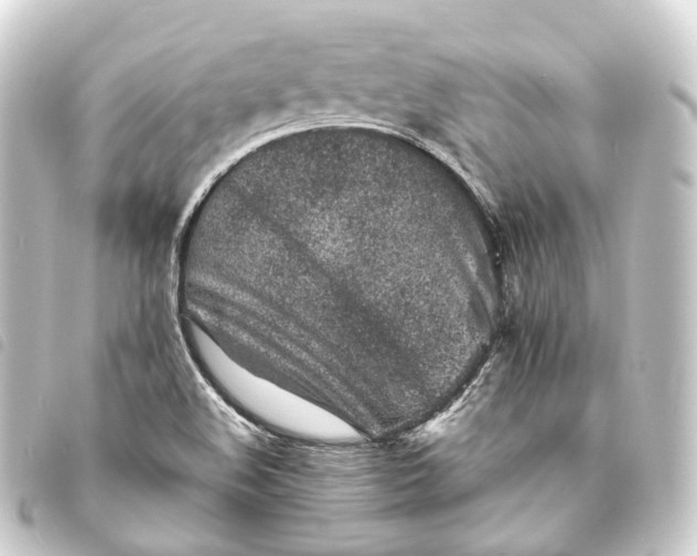 X0000093761508200710301134