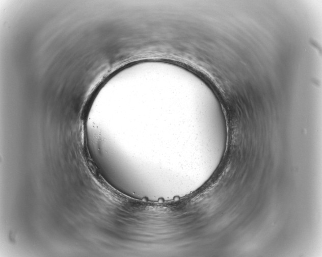 X0000093761509200710301134