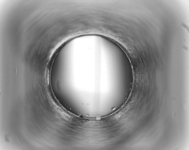 X0000093761510200710301134