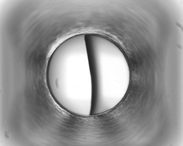 X0000093761512200710301134