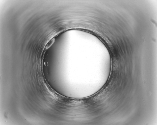 X0000093761513200710301134