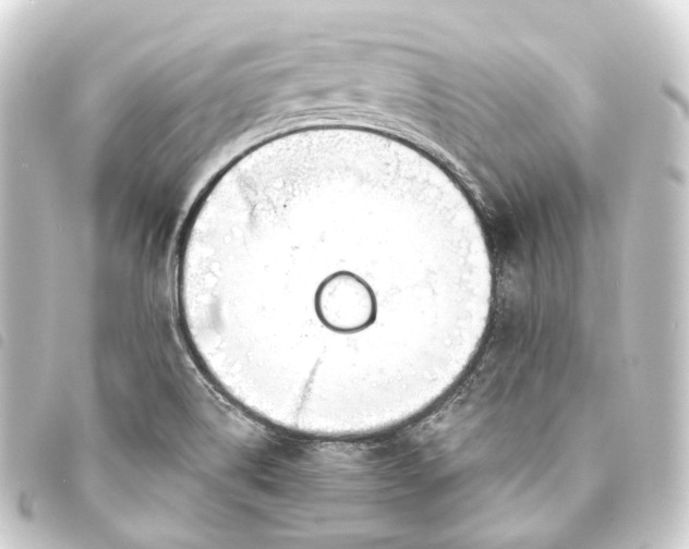 X0000093761514200710301134