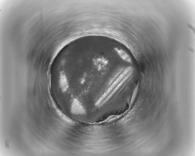 X0000093761515200710301134