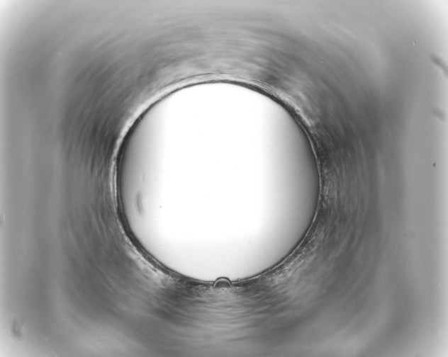 X0000093761516200710301134