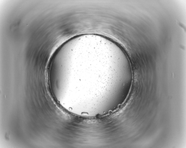 X0000093761517200710301134