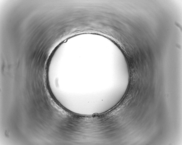 X0000093761518200710301134