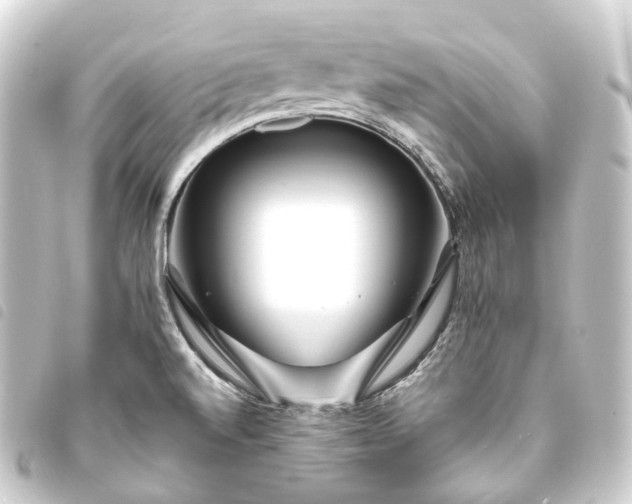 X0000093761520200710301134