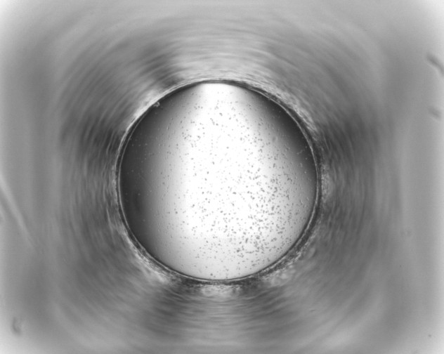 X0000093761521200710301134