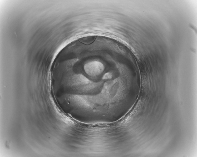 X0000093761522200710301134