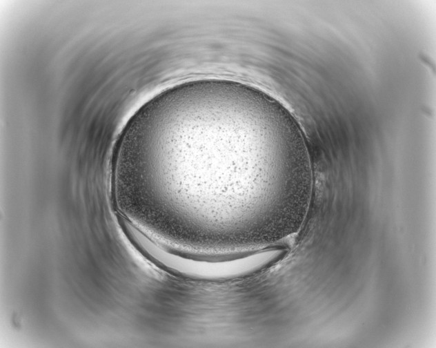 X0000093761523200710301134