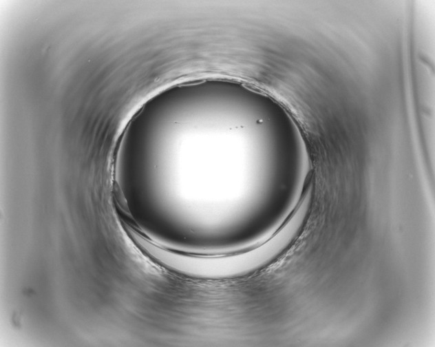 X0000093761524200710301134