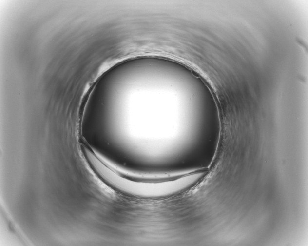 X0000093761525200710301134