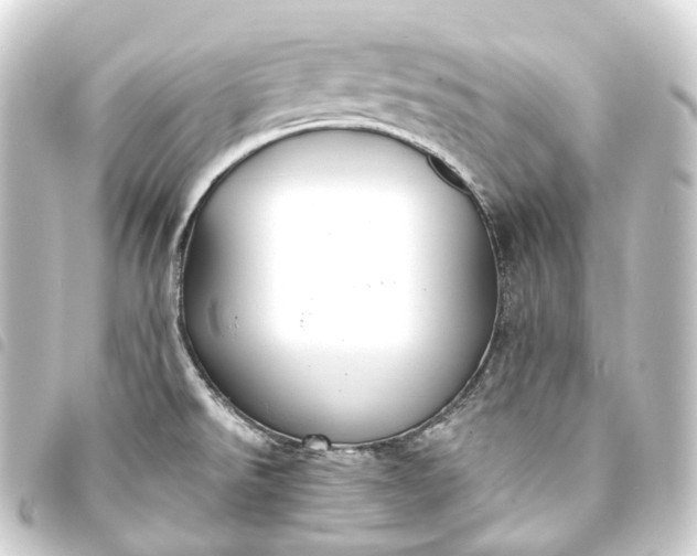 X0000093761526200710301134