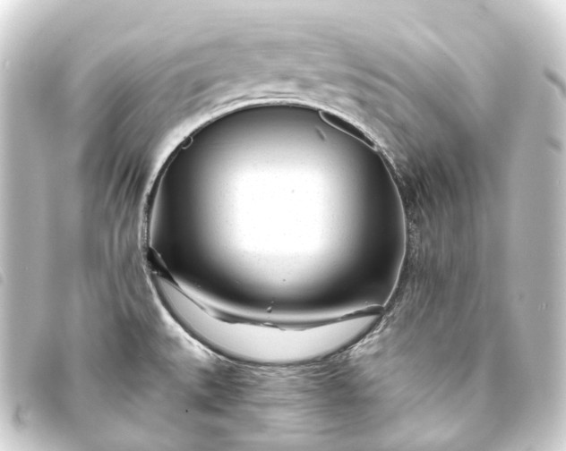 X0000093761527200710301134