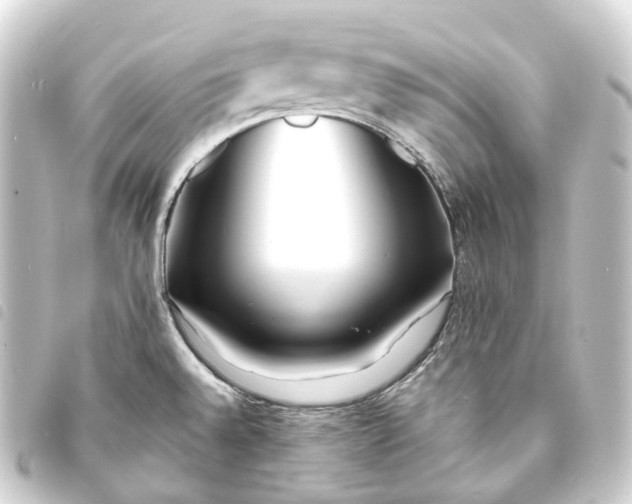 X0000093761528200710301134