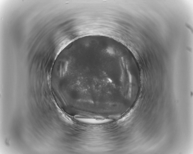 X0000093761529200710301134