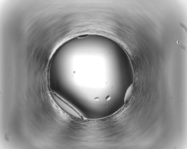 X0000093761530200710301134