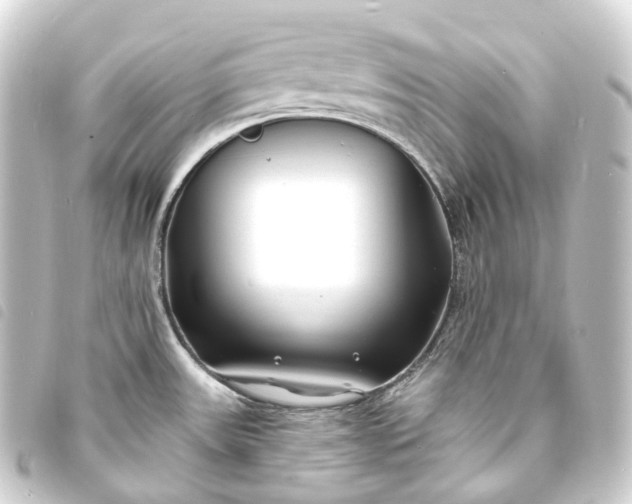 X0000093761531200710301134