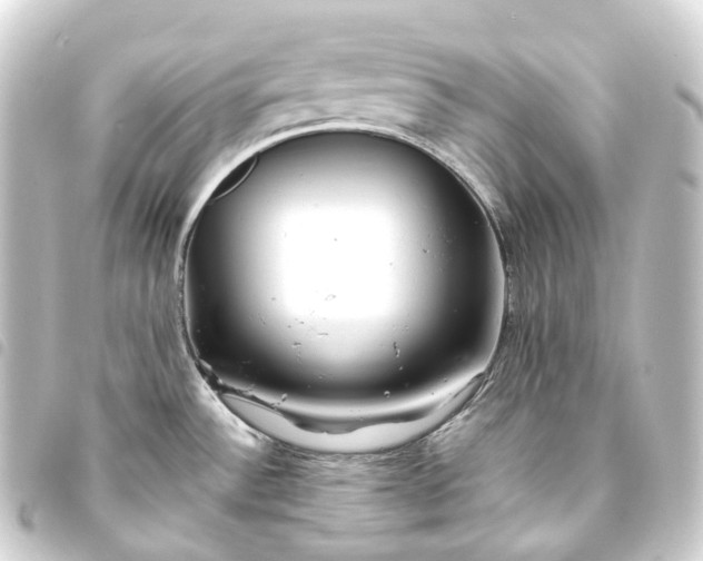 X0000093761532200710301134