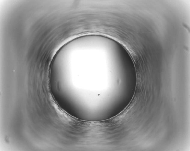 X0000093761534200710301134