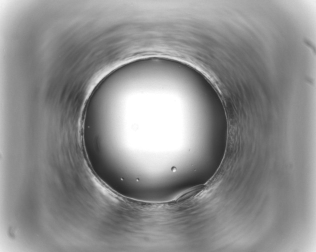 X0000093761535200710301134