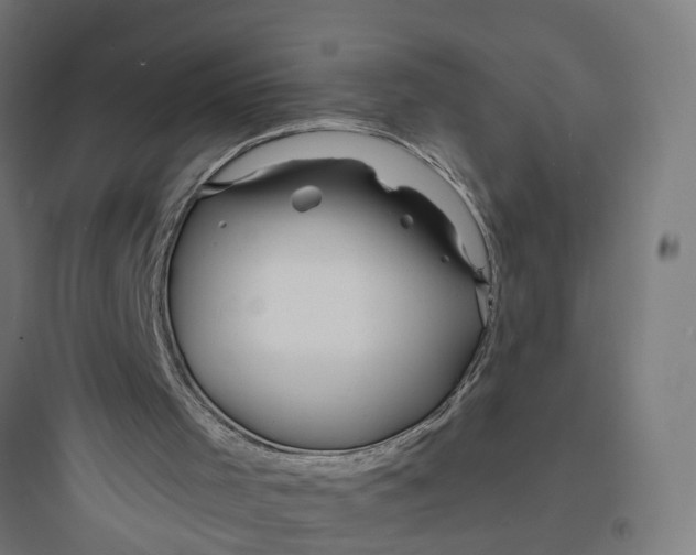 X0000093760001200711061121