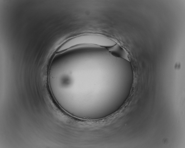 X0000093760005200711061121