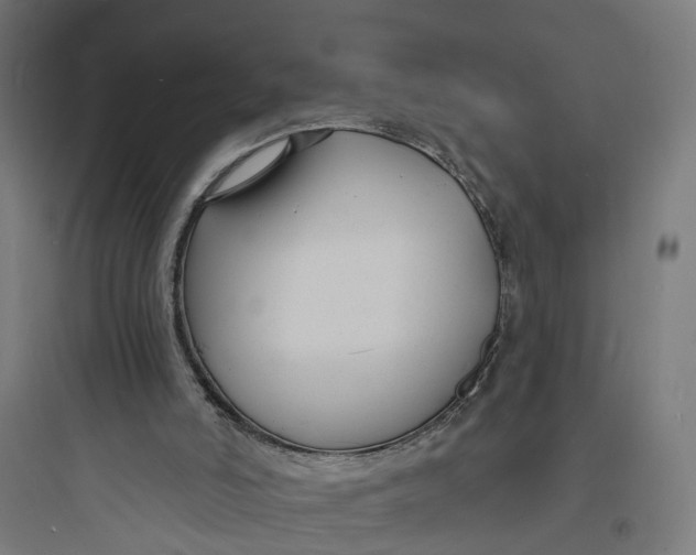 X0000093760006200711061121