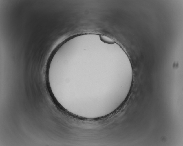 X0000093760008200711061121