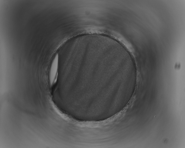 X0000093760009200711061121