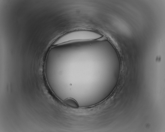 X0000093760010200711061121