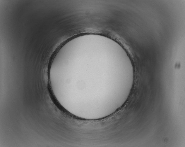 X0000093760011200711061121