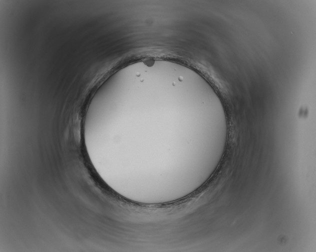 X0000093760014200711061121