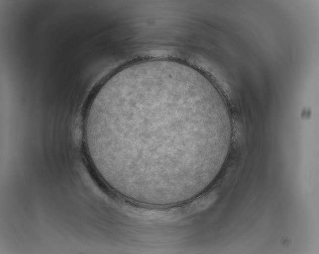 X0000093760016200711061121