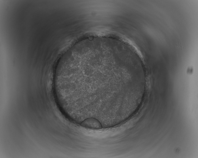 X0000093760018200711061121