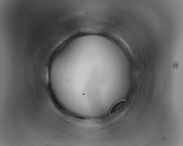 X0000093760020200711061121