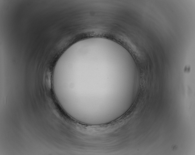 X0000093760022200711061121