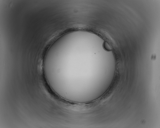 X0000093760024200711061121