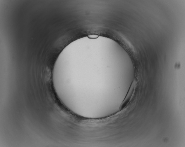 X0000093760025200711061121