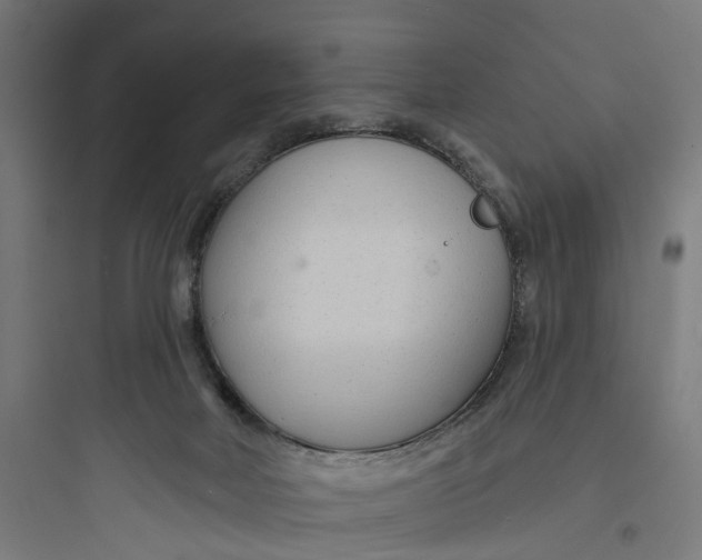 X0000093760026200711061121