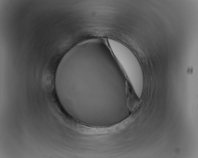 X0000093760031200711061121