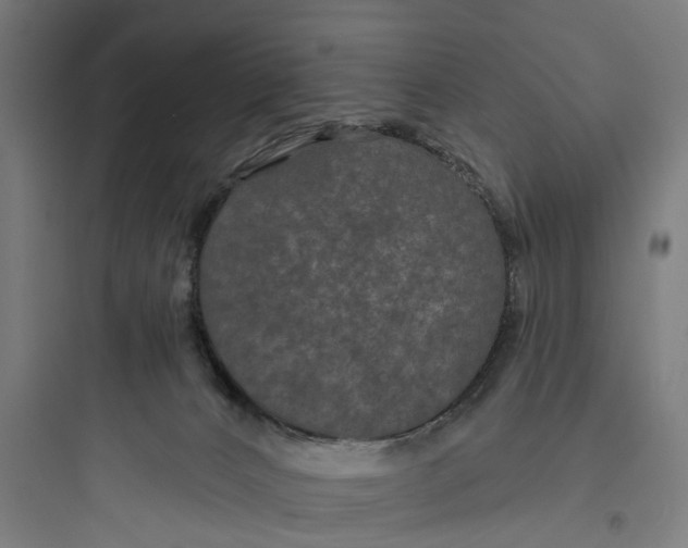 X0000093760032200711061121