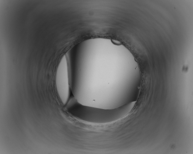 X0000093760033200711061121