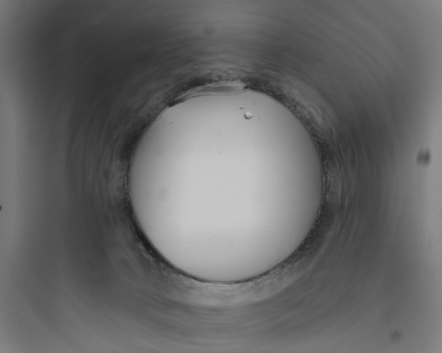 X0000093760034200711061121