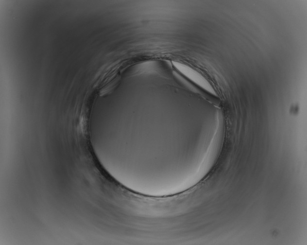 X0000093760035200711061121