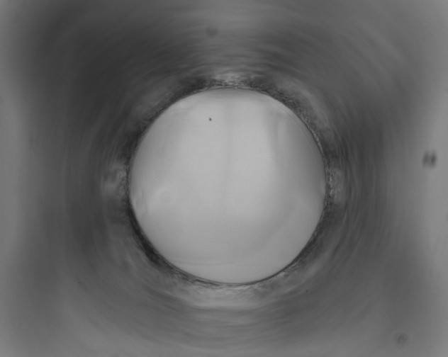 X0000093760036200711061121