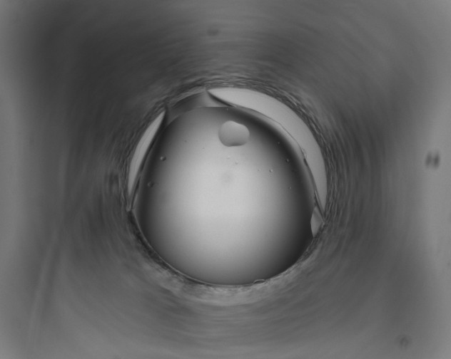 X0000093760037200711061121