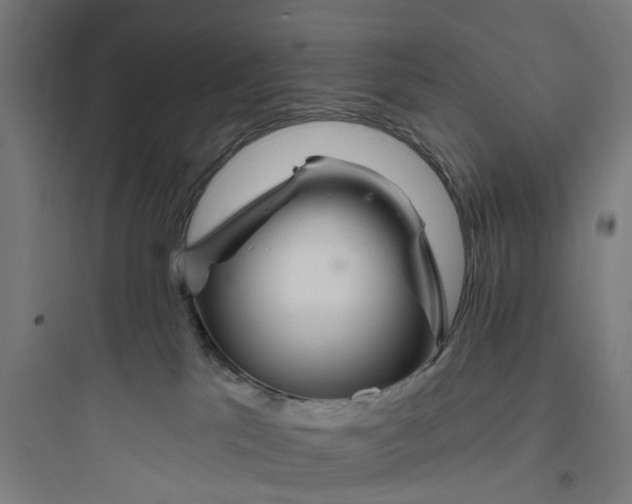 X0000093760041200711061121